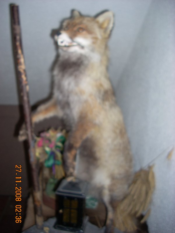 SOLDEN 2008 PROSINEC 097.jpg